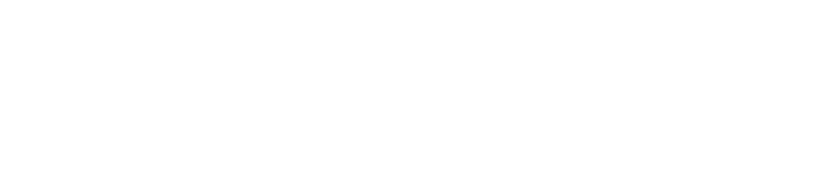Plus Mode Magazine